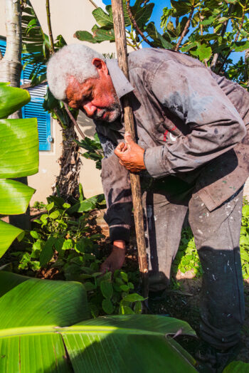 Eugene cares for some of his seedlings. a man leans over to take care of his seedlings