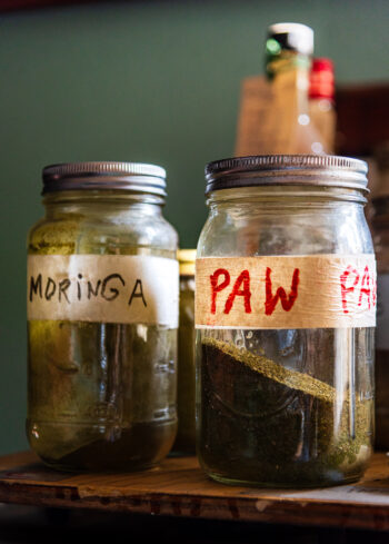 Mason jars of dehydrated teas from Eugene's garden two mason jar, one labeled PawPaw and the other Moringa